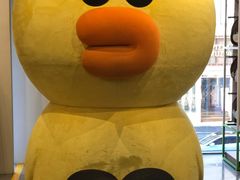 -line friends(明洞旗舰店)