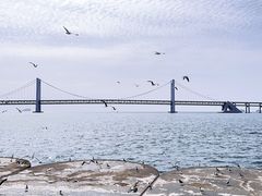 -星海广场
