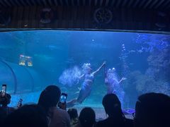 -左海海底世界