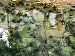 -东姑阿都拉曼海洋公园