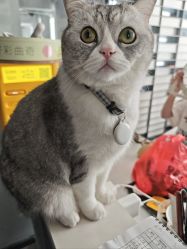 -我舞空间舞蹈培训