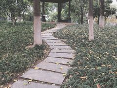 -后襄河公园