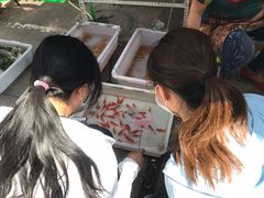 -中环花鸟鱼虫市场