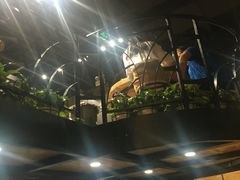 -海盗虾饭·剥好的小龙虾饭(上地辉煌店)