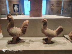 -四川宋瓷博物馆