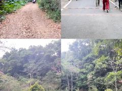-火炉山森林公园