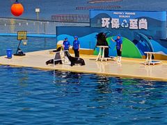 -秦皇岛乐岛海洋王国