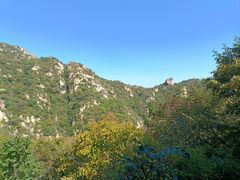 -大岭沟猕猴桃谷风景区