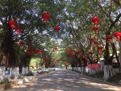 -广东茂名森林公园