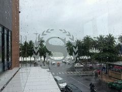 -芽庄喜来登水疗酒店