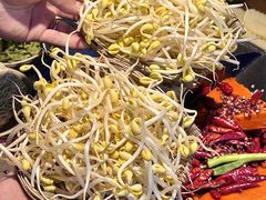 -阳阳老火锅(小南门店)