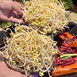 在西安！！！每周都要去吃一次的火锅！！！ 