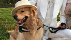 -天长地久婚纱摄影(天宁北路店)