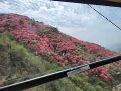 -木兰云雾山