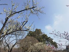 -无锡梅园公园