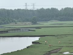 -溱湖国家湿地公园