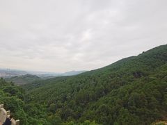 -铁山坪森林公园