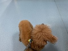 -甄爱宠物医院(疏影路店)