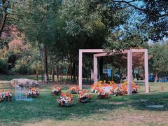 -天目湖御水温泉·度假酒店