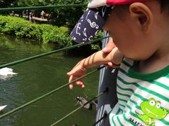 -长白岛森林公园