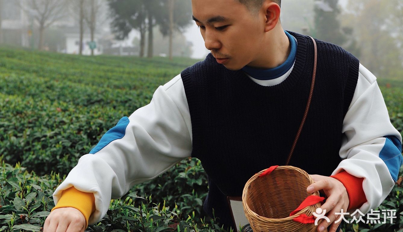 春游踏青好去处｜重庆最美茶园就在这儿🍃