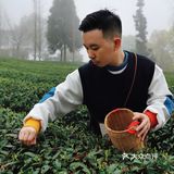 春游踏青好去处｜重庆最美茶园就在这儿🍃