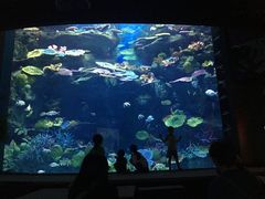 -暹罗海洋世界
