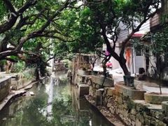 -小洲村