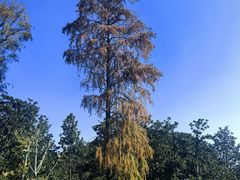 -共青国家森林公园-南大门停车场