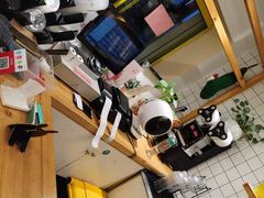 -白日梦奶茶