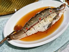 清蒸大白鱼-福禧酒窖·中餐厅 (万柳店)