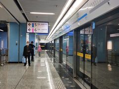 -大龙山(地铁站)