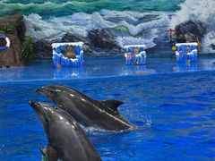 -多彩贵州城极地海洋世界