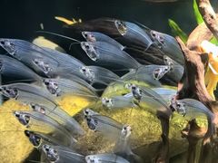 -太平洋海底世界