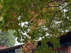 -兴教寺