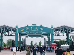 -荷兰花海