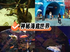-大连圣亚海洋世界