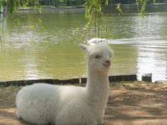 -银树楼(紫玉山庄东区店)