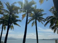 -福田红树林生态公园