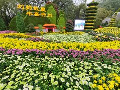 -南山植物园