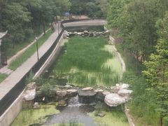 -白水寺森林公园