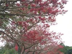 -信不信由你博物馆