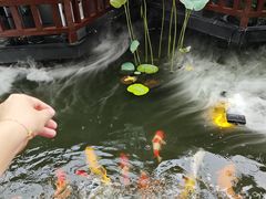 -濮园 · 四合院餐厅