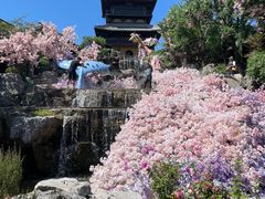 -茅山东方盐湖城景区