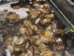 -亚马逊环球美食百汇(新城吾悦广场店)