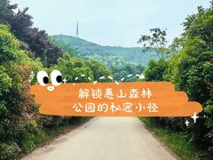 -惠山国家森林公园