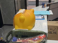 -半岛宠物医院24小时(白果林店)