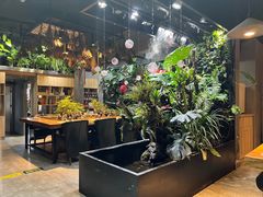 -森味薪火烧•烧鸟居酒屋•日本料理(望京店)