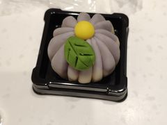 -ABC Cooking Studio(北京颐堤港店)