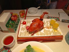-大鸽饭(动物园店)